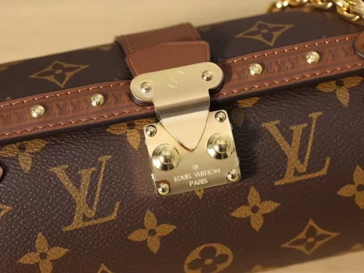 Papillon bb - Image 3