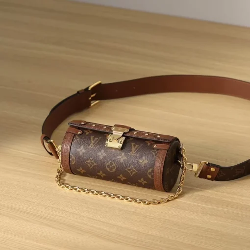 Papillon bb - Image 5
