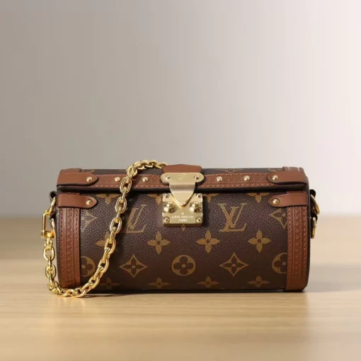 Papillon bb - Image 6