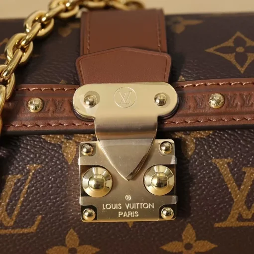 Papillon bb - Image 8
