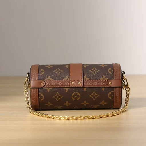 Papillon bb - Image 9