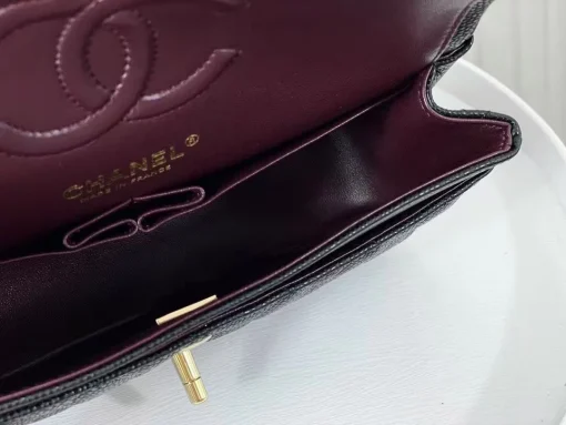 Chanel Classic Flap Bag with Gold Hardware - Image 9