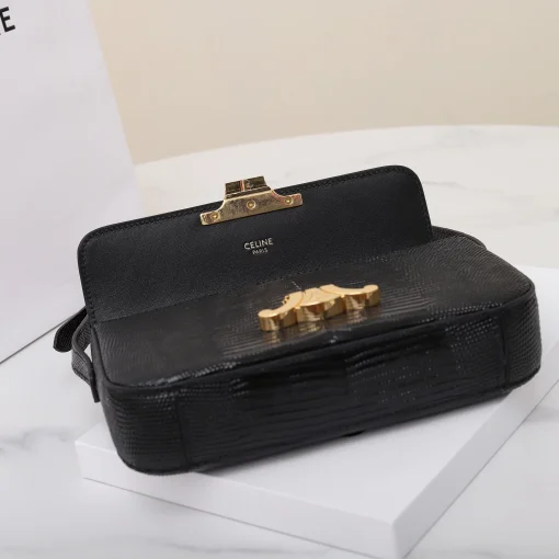 CELINE Triomphe - Image 5