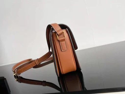 CELINE Triomphe Canvas Crossbody Bag (Unisex) - Image 4