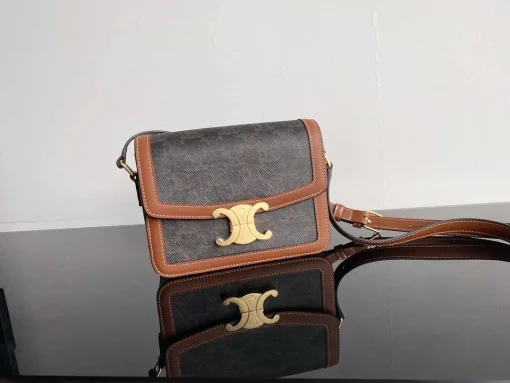 CELINE Triomphe Canvas Crossbody Bag (Unisex)